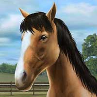 Cover Image of My Horse 1.27.1 Apk + Data for Android