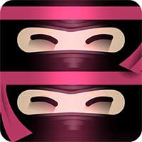 Cover Image of The Last Ninja Twins 8 Apk Mod Android